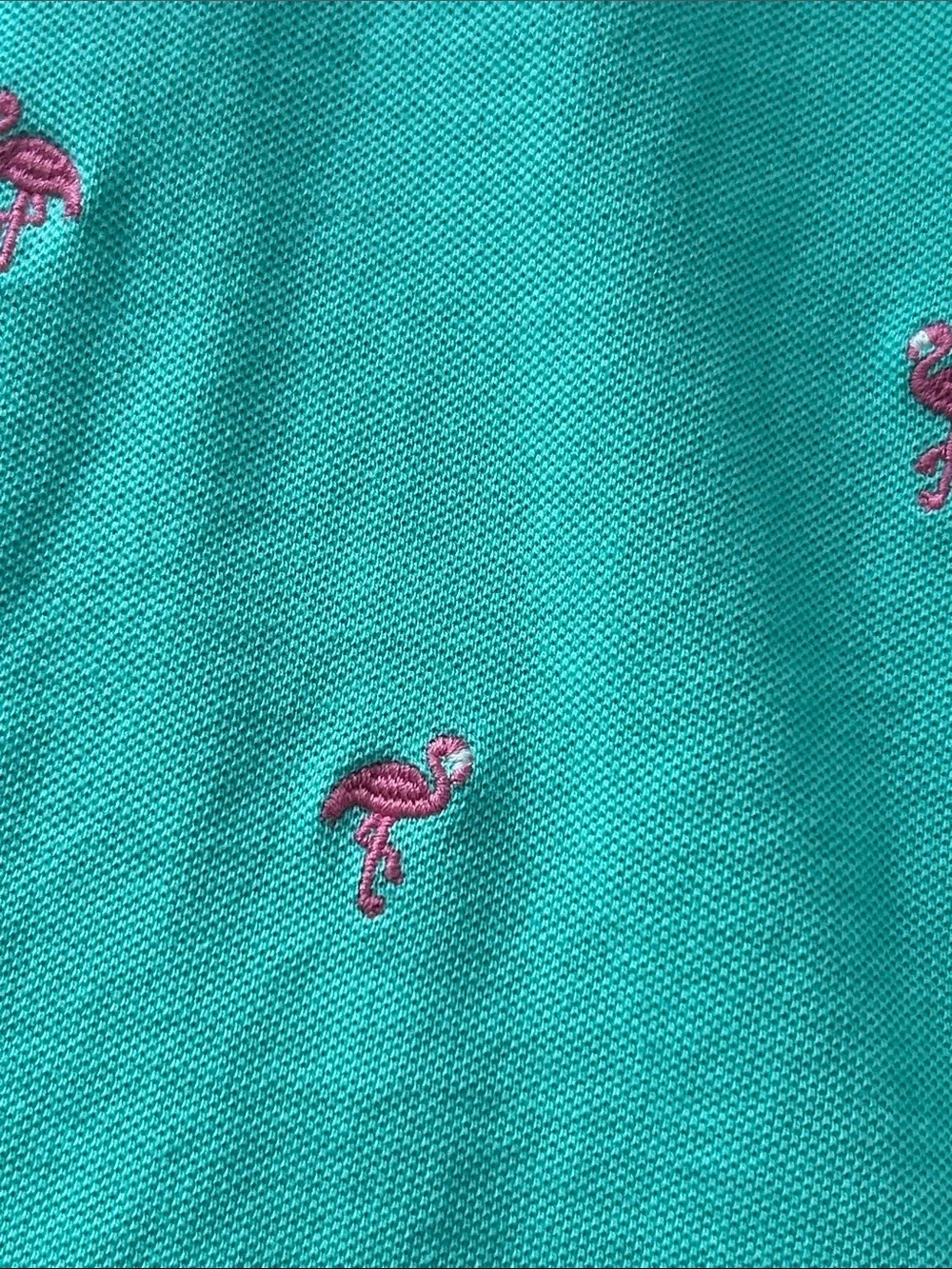 Boys Gymboree Mint Green Poo Golf Shirt Pink Tropical Flamingo Embroidery